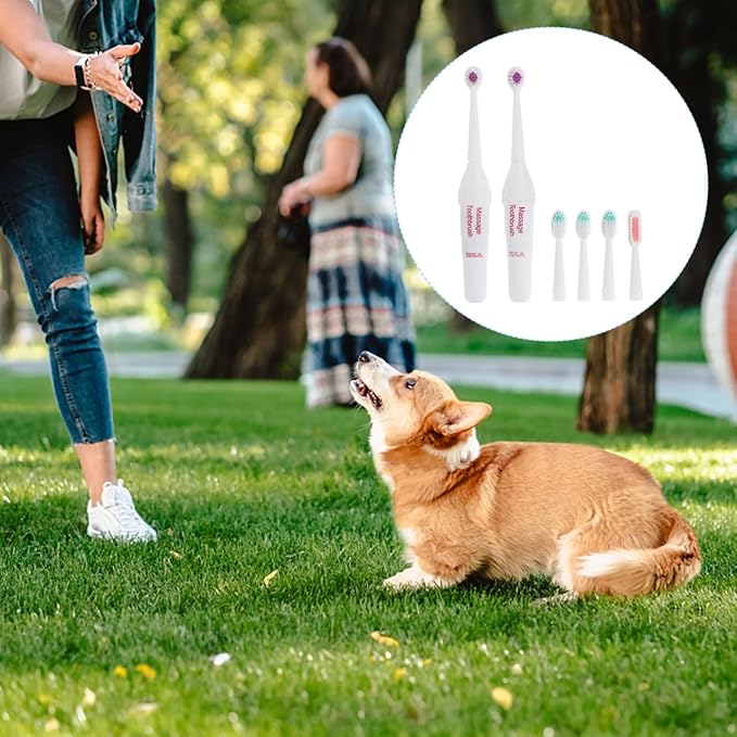 TEHAUX Professional Electric for Pets Acoustic Cleaning Brush with 2 Replacement Heads Lightweight Portable Dog and Cat for Travel and