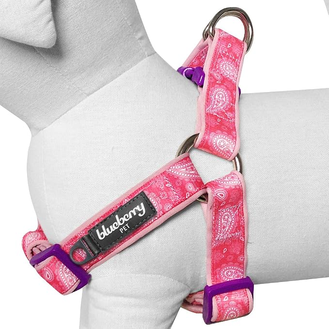 Blueberry Pet 5 Colors Soft & Comfy Step-in Paisley Flower Print Dog Harness, Chest Girth 20" - 26", Pink, Medium, Adjustable Harnesses for Dogs