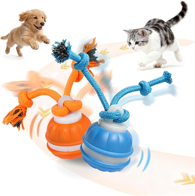 2 Pack Interactive Dog & Cat Ball, Auto Chirping, Rechargeable, Self Play | Motion activated, chirp sound, USB-C fast charge, indoor play, boredom relief for small dog & cat, blue orange 2 pack