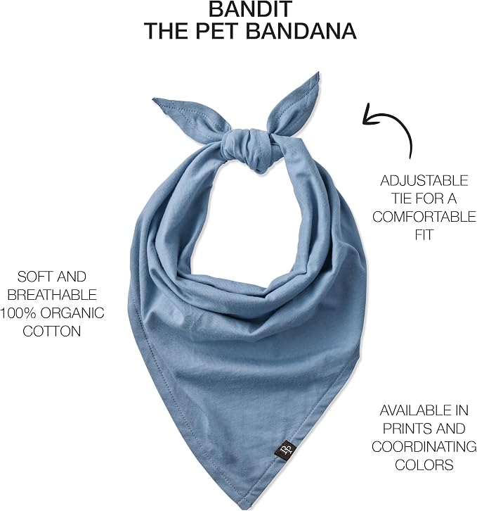 Pet Passion Bandit, X-Small/Small, 3-Pack, Small, Navy