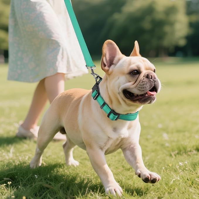 Joytale Dog Harness (Chest: 14-28"), Dog Collar and 6FT x 1" Wide Dog Leash Set, Reflective Padded Nylon Collar and Leash, Adjustable Soft Harness with Handle for Dogs