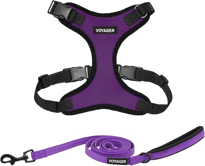 Best Pet Supplies Voyager Step-in Lock Pet Harness w Reflective Pet Leash Combo Set with Neoprene Handle 5ft - Supports Small, Medium and Large Breed Puppies/Cats - Purple/Black Trim, XS