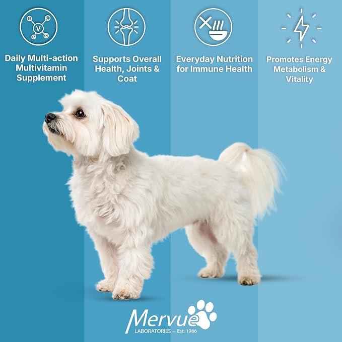 Mervue Multivitamin + Immune Support for Dogs (28 Day Supply) | Pre-Measured Small Dog Vitamins in Gel Packets – Multivitamin for Dogs w/Beta-Glucans & Vitamin C for Energy & Healthy Coat