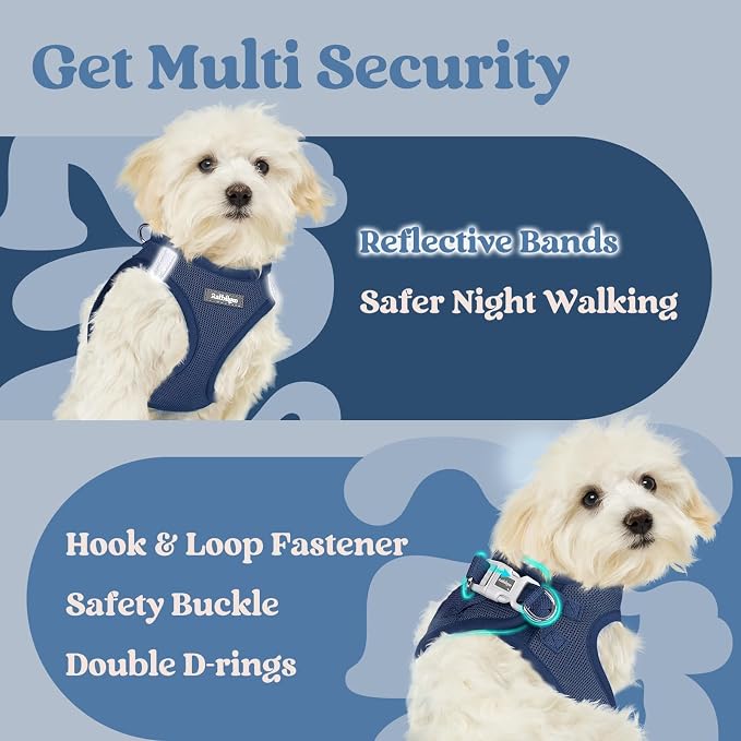 rabbitgoo Step-in Small Dog Harness, Puppy Vest for Small Medium Sized Pet | Easy Put on and off, Lightweight, Soft, Breathable Quick-Dry Air Mesh for Comfortable Secure Walking, Navy Blue L