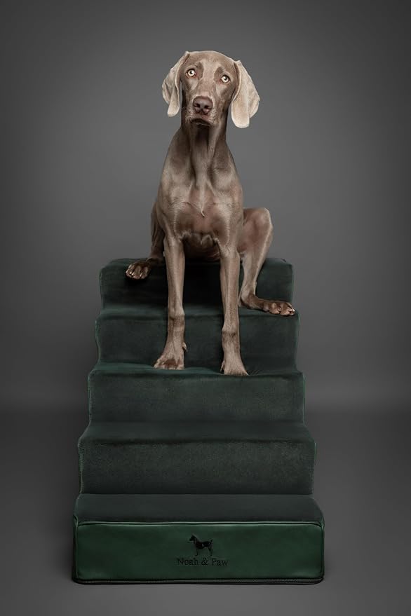 Noah & Paw Dog Stairs, Dog Ramp for Bed (20" Extra Wide) Pet Stairs for High Bed, Design to Fit Small and Large Breeds, Durable 5 Pet Steps for Couch (35 Foam Density) Leather Collection