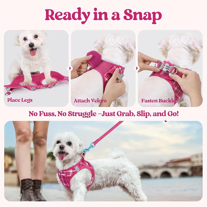 rabbitgoo Dog Harness Small Sized and Leash Set, Step-in Puppy Pet Vest | Light, Soft, Breathable Air Mesh, Easy on and Remove with Hook & Loop, Secure Reflective for Walking, Rose Red Plaid M