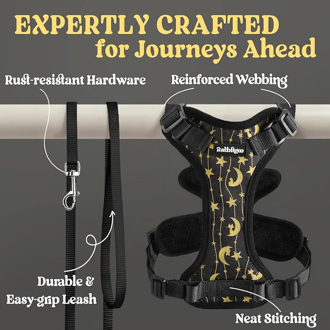 rabbitgoo Cat Harness and Leash Set, Escape Proof Vest, Lunar Prowl | Soft Breathable Mesh, Easy Adjustable Fit, Snap Buckles, Sturdy Clip, Reflective Strips, for Kittens & Small Cats Walks, Xxs