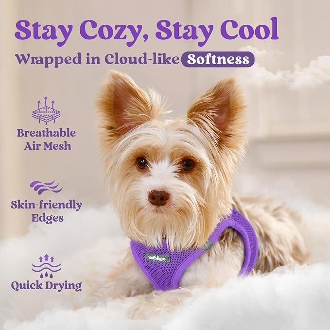 rabbitgoo Step-in Small Dog Harness, Puppy Vest for Small Sized Pet | Easy Put on and off, Lightweight, Soft, Breathable Quick-Dry Air Mesh for Comfortable Secure Walking, Purple M