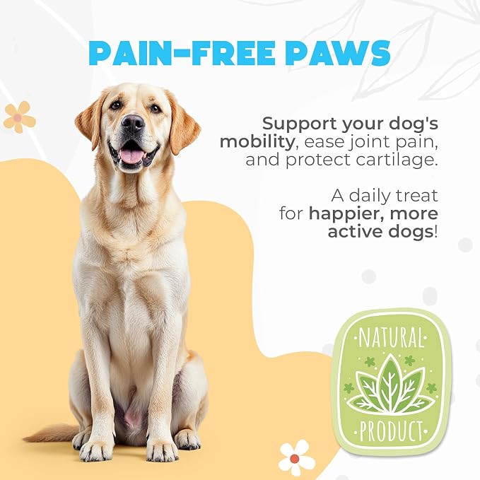 ZENO Glucosamine HCL & Hip and Joint Chews for Dogs - 150 pcs - Advanced Hip and Joint Support for Senior Dogs - with MSM & Green Lipped Mussel - Duck