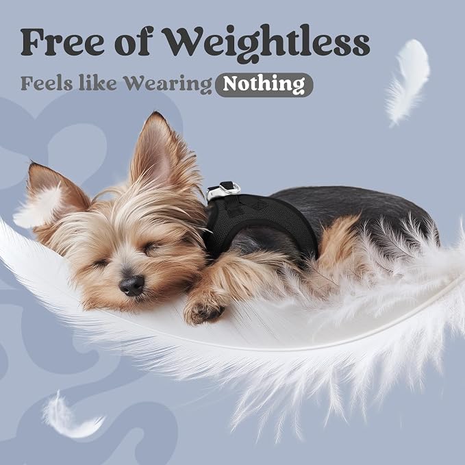 rabbitgoo Step-in Small Dog Harness, Puppy Vest for Small Sized Pet | Easy Put on and off, Lightweight, Soft, Breathable Quick-Dry Air Mesh for Comfortable Secure Walking, Black S