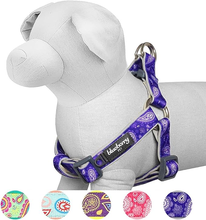 Blueberry Pet 5 Colors Soft & Comfy Step-in Paisley Flower Print Dog Harness, Chest Girth 19.5" - 25.5", Violet, S/M, Adjustable Harnesses for Dogs