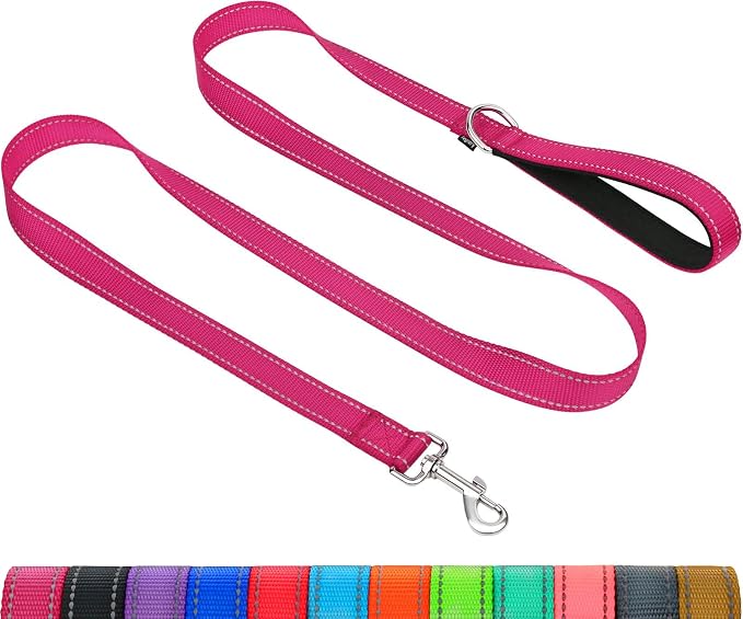 Taglory Reflective Dog Leash for Medium Large Dogs, 1in x 5ft, Hot Pink | Ideal for Night Walking, Strong for Sudden Pulls, Lightweight & Gentle on the Neck, Soft Padded Handle