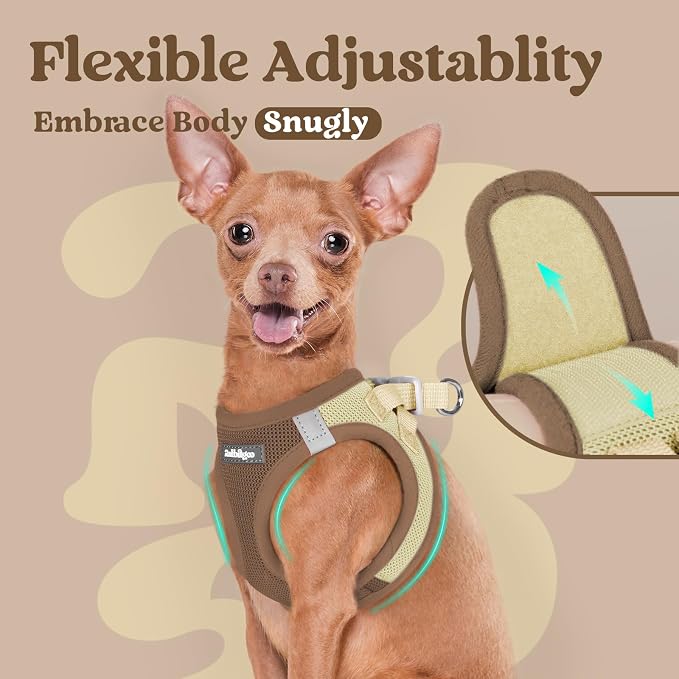 rabbitgoo Step-in Small Dog Harness, Puppy Vest for Small Medium Sized Pet | Easy Put on and off, Lightweight, Soft, Breathable Quick-Dry Air Mesh for Comfortable Secure Walking, Brown & Beige L