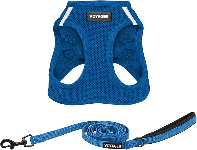 Best Pet Supplies Voyager Step-in Air All Weather Mesh Harness and Reflective Dog 5ft Leash Combo with Neoprene Handle, for Small, Medium and Large Breed Puppies - Royal Blue, Large