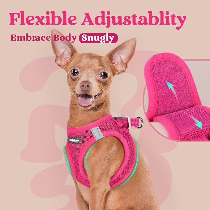 rabbitgoo Step-in Small Dog Harness, Puppy Vest for Small Sized Pet | Easy Put on and off, Lightweight, Soft, Breathable Quick-Dry Air Mesh for Comfortable Secure Walking, Rose Red XXS
