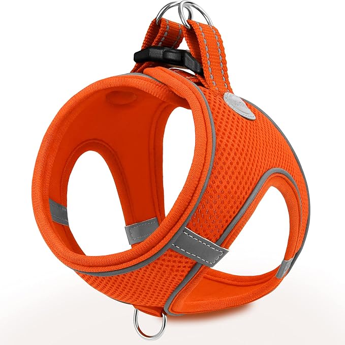 Joytale Step-in Dog Harness, Soft Breathable Mesh, Orange XL | Adjustable Fit for Small Dogs, Easy Step-in with Secure Fastener, Even Chest Pressure, Reflective For Night Safety, Washable
