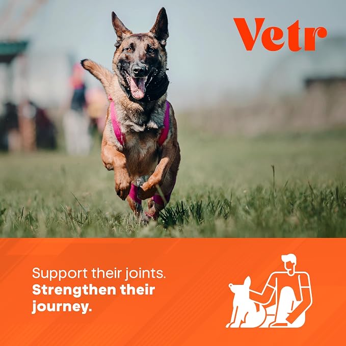 Vetr Hip and Joint Chicken Flavored Chews for Dogs - Glucosamine Chondroitin MSM Supplement - 60 Chewable Tablets - Vet-Formulated in USA