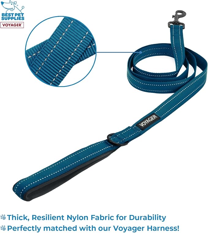Voyager Step-in Air All Weather Mesh Harness and Reflective Dog 5 ft Leash Combo with Neoprene Handle, for Small, Medium and Large Breed Puppies by Best Pet Supplies - Blue, Large
