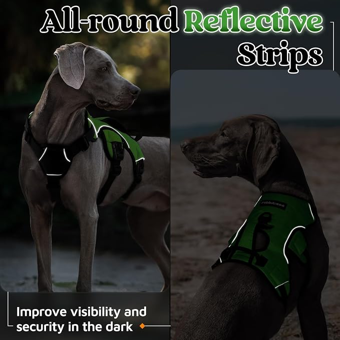 rabbitgoo Escape Proof Dog Harness for X-Large, No Pull with Lift Handle | No Escape, Full Soft Padded, Reflective Adjustable Vest, Leash Clip for Walking Hiking Training, Green, X-Large
