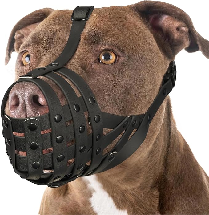 Pitbull Dog Muzzle for Large Medium Dogs Prevent Biting Scavenging | Sturdy Breathable Basket, Fit Rottweiler Amstaff Broad-nosed Breed, Training Walking Use, Allows to Drink | Black, L