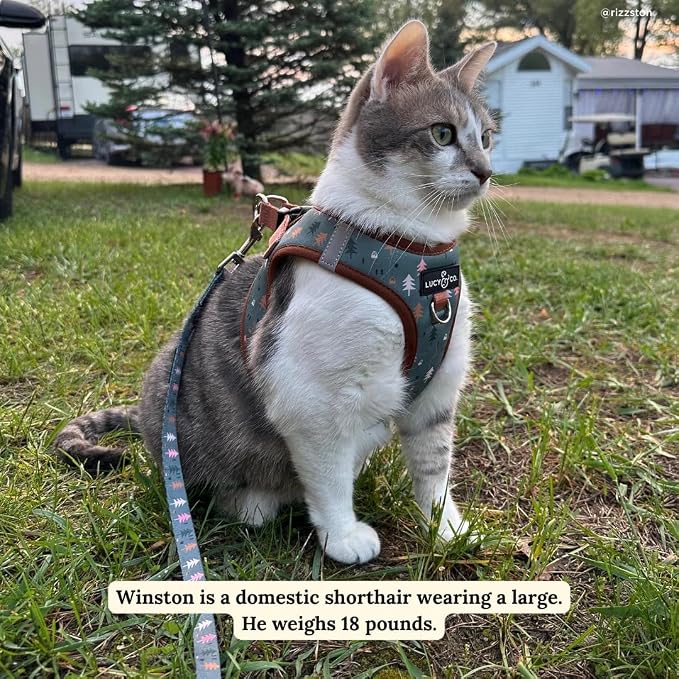 Lucy & Co. Take a Hike Step-in Cat Harness & Leash Bundle – Reflective, Breathable & Adjustable Harness for Cats, Kittens & Small Dogs, Lightweight & Secure and Dual Leash Clips – Large