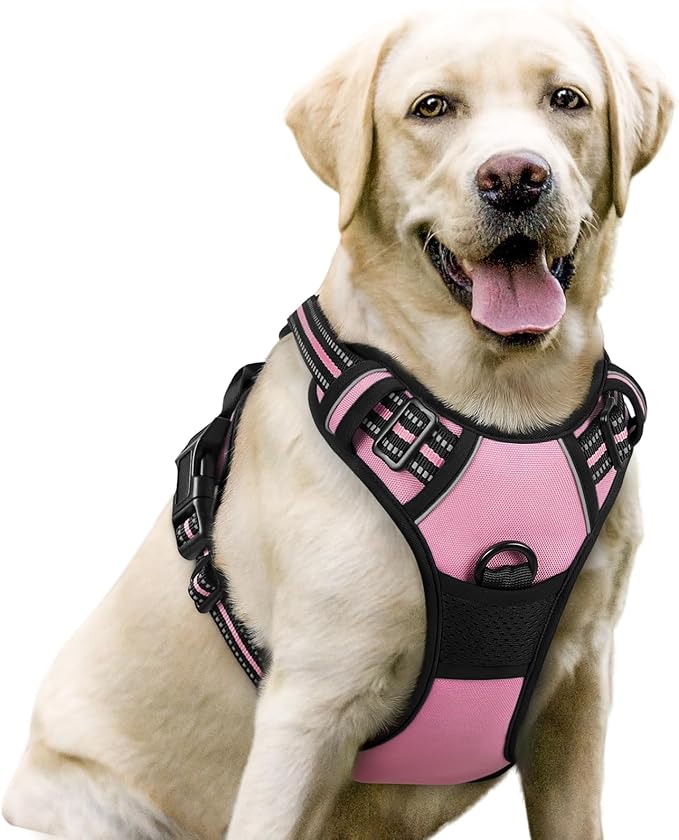rabbitgoo Dog Harness, No Pull for Large Dogs with 2 Leash Clips, Pet Vest | No Choke with Handle, Adjustable Soft Padded, Reflective, Easy Control for Walking, Pink, Large