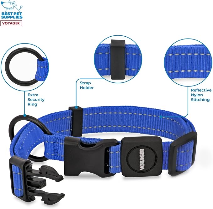 Best Pet Supplies Voyager Reflective Dog Leash or Collar with Neoprene Handle, for Small, Medium, and Large Breed Puppies, Cute and Heavy Duty for Walking, Running and Training - Royal Blue, M