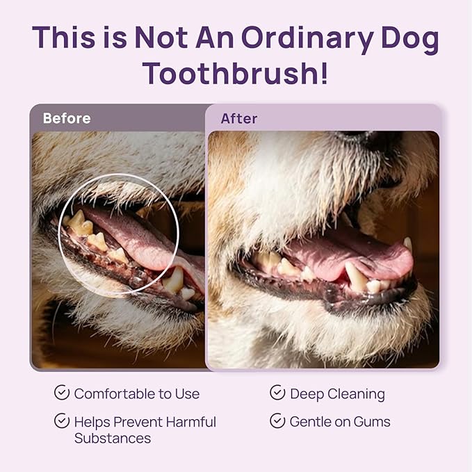 HICC PET Toothbrush for Cats & Small Dogs, Vet-Recommended Ergonomic Pet Toothbrush for Easy Teeth Cleaning, Gentle on Gums, Cat & Dog Dental Care, Improves Oral Hygiene. Toothpaste Not Included