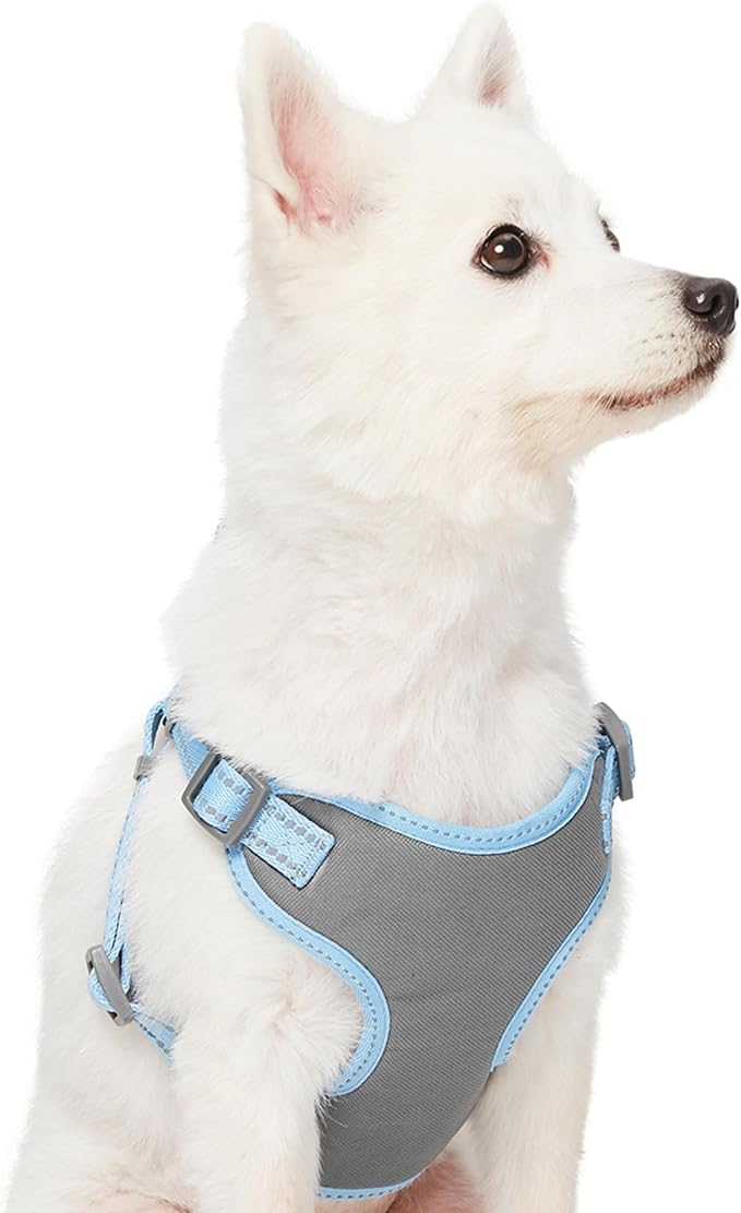 Blueberry Pet Matching Reflective Harness and Leash Set | Adjustable Pastel Vest with Lead for Dogs – Great Value Gift Set | Adjustable Baby Blue Vest for Small Breeds