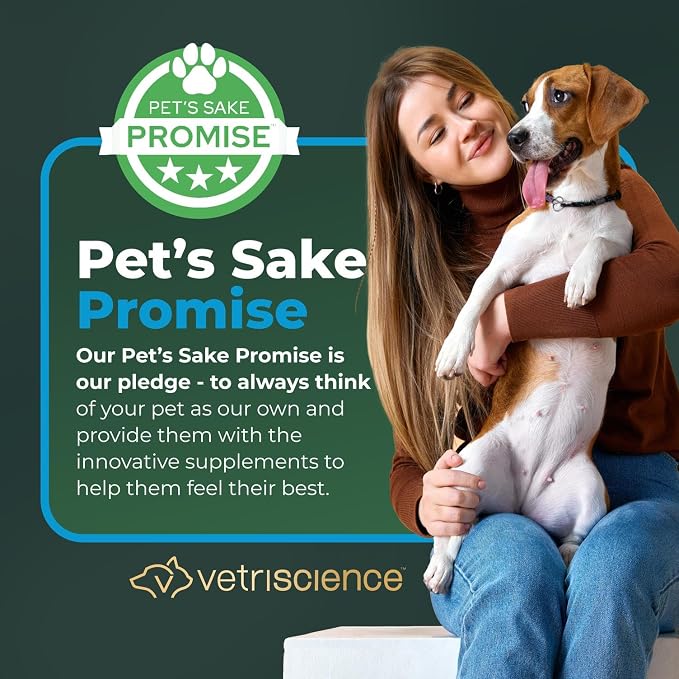 VETRISCIENCE Veterinary Strength Healthy Hip & Joint Chews - Joint Health Supplement for Dogs Over 60 Pounds - Supports Mobility & Flexibility in Large Dogs - 60 Count