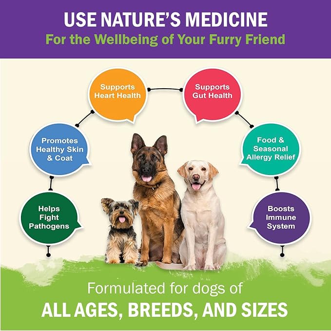 Dog Immune Support Premium Powder Topper, Turkey Tail, Spirulina & Beta-Glucan, Supports a Healthy Immune System & Digestion, Human-Grade, Made in USA