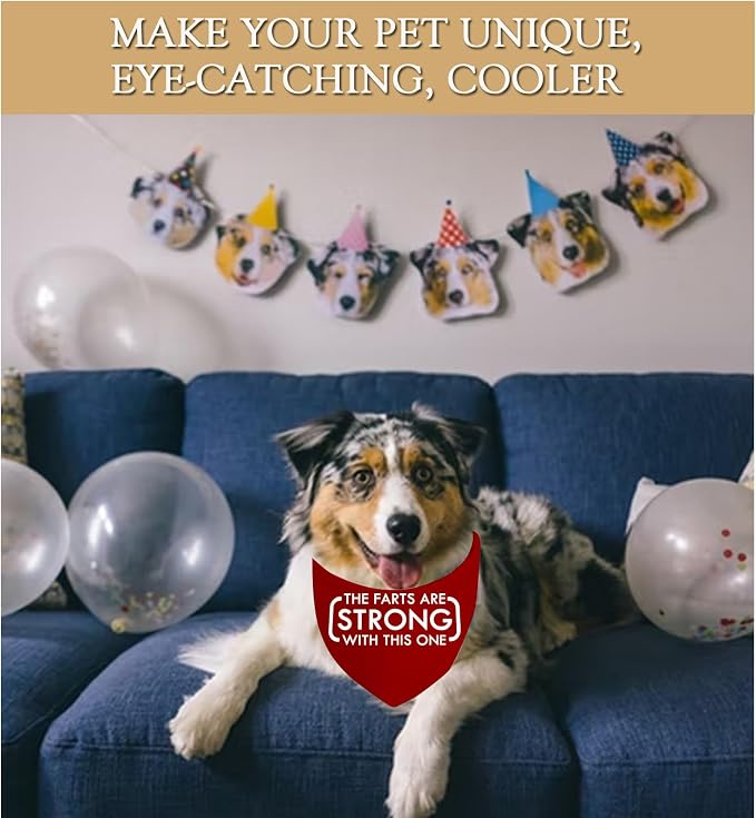 JXGZSO 1 Piece The Farts are Strong with This One Dog Bandana Funny Dog, Red