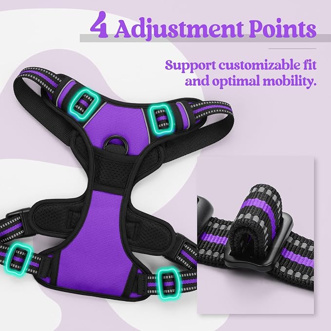 rabbitgoo Dog Harness, No Pull Medium Sized with 2 Leash Clips, Pet Vest | No Choke with Handle, Adjustable Soft Padded, Reflective, Easy Control for Walking, Purple, Medium