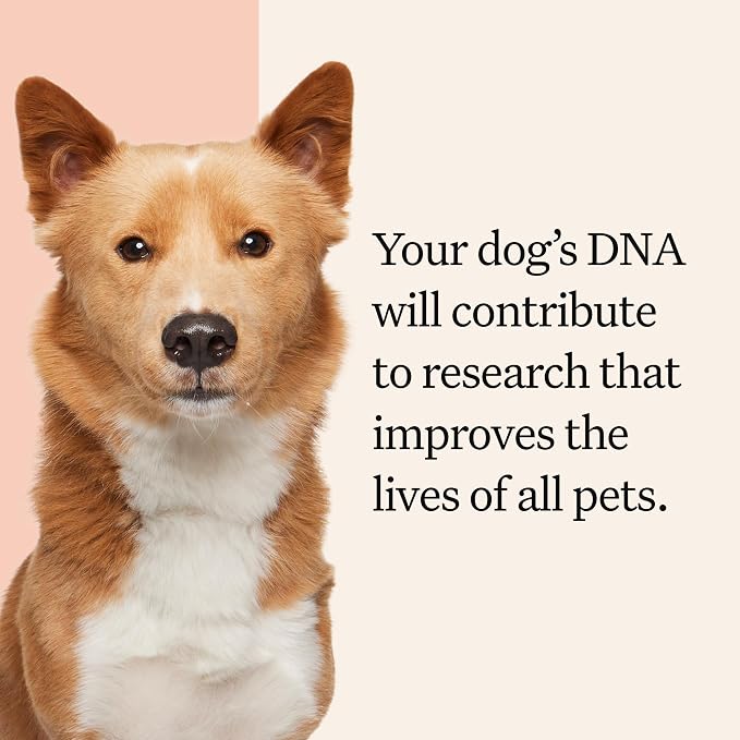 Wisdom Panel Premium DNA Test Kit, 1-Pack