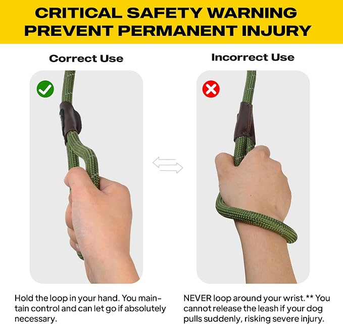Fida Durable Slip Lead Dog Leash, 6 FT x 3/8" Heavy Duty Comfortable Strong Rope Slip Lead for Small Dogs and Puppies, No Pull Pet Training Leash with Highly Reflective(3/8", Green)
