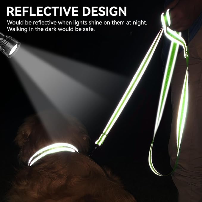 Joytale Reflective Dog Leash for Small Dogs, 4 FT x 3/4", Green | Heavy Duty Nylon Webbing, Padded Handle for Comfort, Visible at Night, for Walking & Training
