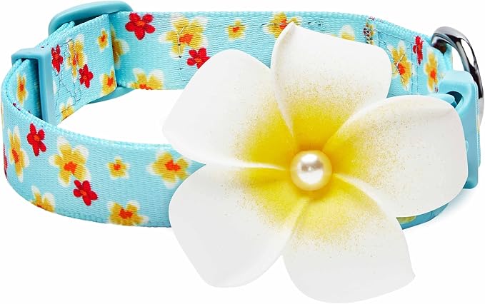 Blueberry Pet Fragrant Plumeria Adjustable Dog Collar with Detachable Accessory, Aqua, Small, Neck 12"-16"