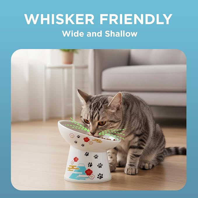 Necoichi Raised Cat Food Bowl – Ceramic Elevated 15° Tilted Cat Bowl for Whisker & Neck Fatigue, Dishwasher Microwave Safe – Non-Slip & Anti Vomiting Ergonomic Design (Fuji, Regular Tilted)