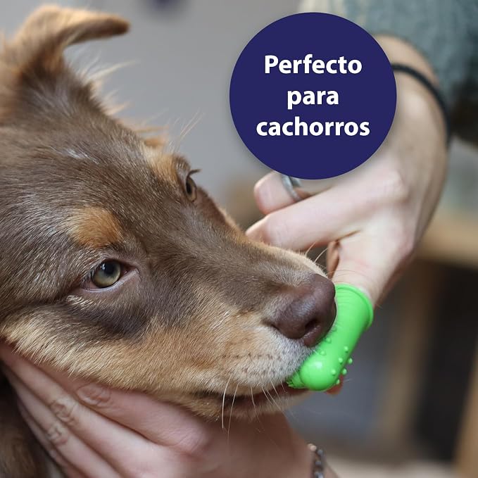 Canosept Dental Care Dog Toothbrush (3 Pieces) - Dog Finger Toothbrush Dog Teeth Cleaning Products - Plaque Remover for Dogs Teeth - Dog Breath freshener - Plaque Off for Dogs