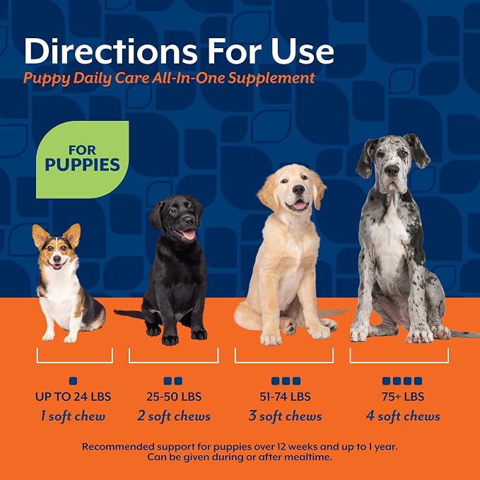 NaturVet All-in-One Puppy Daily Care, 6-in-1 Dog Support - 60 Count