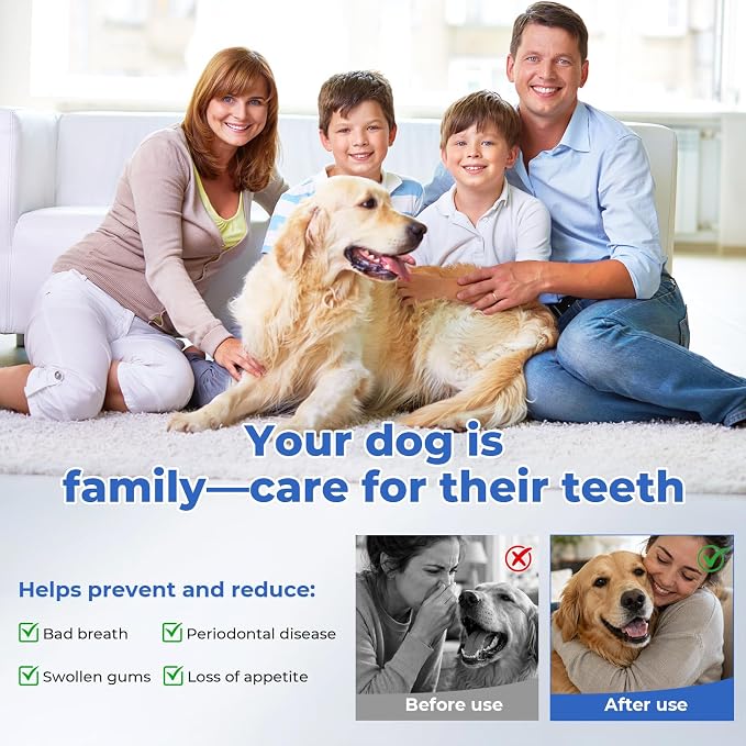 Dog Plaque and Tartar Remover，Ultrasonic Tooth Cleaner for Dogs | Dog Tooth Brushing kit ,5 Modes, LED Light, Ultrasonic Cleaner with Toothbrush & 4 Cleaning Head