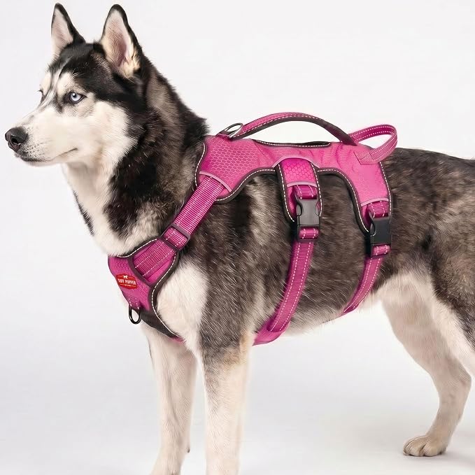 Tuff Pupper Escape Proof No Escape Dog Harness | 5 Point Adjustable Fit Harness for Dogs | Padded Dog Harnesses | Handle Dog Lift Harnesses