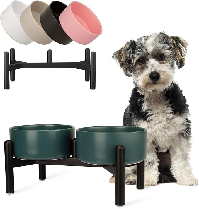 Raised Ceramic Dog Bowl Set - Elevated Double Dishes with Stainless Steel Stand - Food and Water Bowls for Small to Medium Dogs - Each Holds 3.5 Cups (29.57 fl oz) - Green