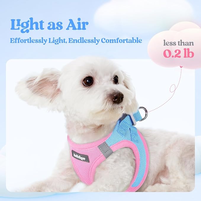rabbitgoo Dog Harness Small Sized and Leash Set, Step-in Puppy Pet Vest | Light, Soft, Breathable Air Mesh, Easy on and Remove with Hook & Loop, Secure Reflective for Walking, Blue & Light Pink S