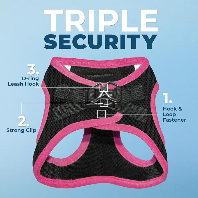 Best Pet Supplies Voyager Step-in Air All Weather Mesh Harness and Reflective Dog 5 ft Leash Combo with Neoprene Handle, for Small, Medium and Large Breed Puppies - Black/Pink Trim, Small
