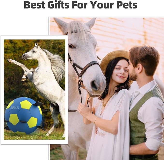Diman Herding Ball for Dogs with Straps, 25 Inch Horse Balls for Outdoor | Large Dog Toys Balls for Australian Shepherd, Dogs or Horses, Giant Dog Balls for Birthday Gifts, Blue Yellow