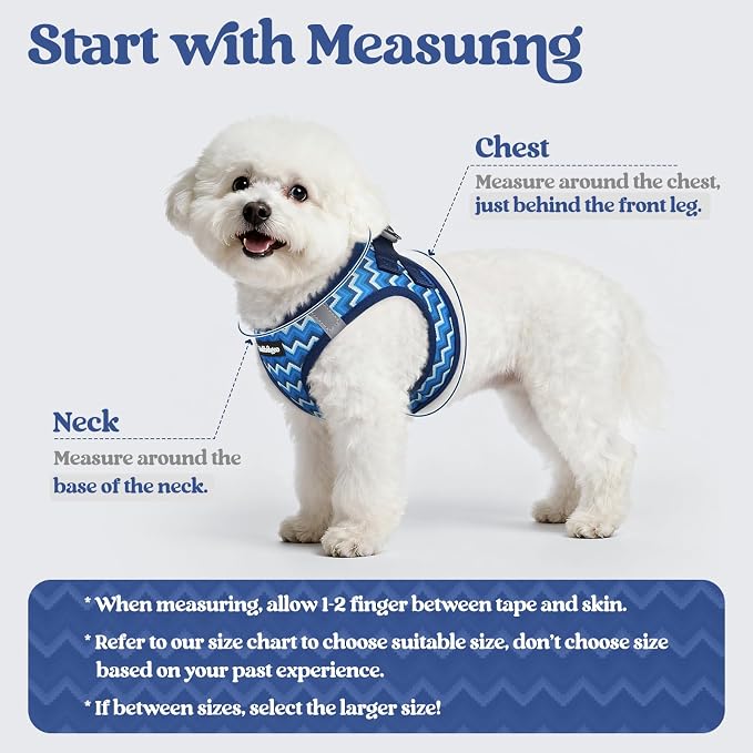 rabbitgoo Dog Harness Small Sized and Leash Set, Step-in Puppy Pet Vest | Light, Soft, Breathable Air Mesh, Easy on and Remove with Hook & Loop, Secure Reflective for Walking, Blue Zigzag XS