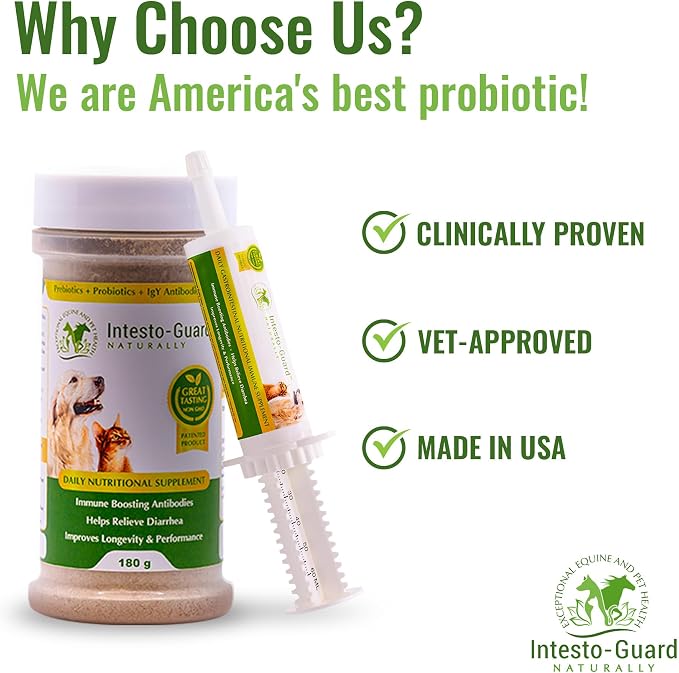 Powder Dog Probiotic, Prebiotic Puppies, No Animal By-Products, 2-Gram Scoop Contains 1.5 Billion, Digestive Health, Gut Support, Immune Boost – Vet-Formulated Powder for Maximum Potency – 180G Bottle