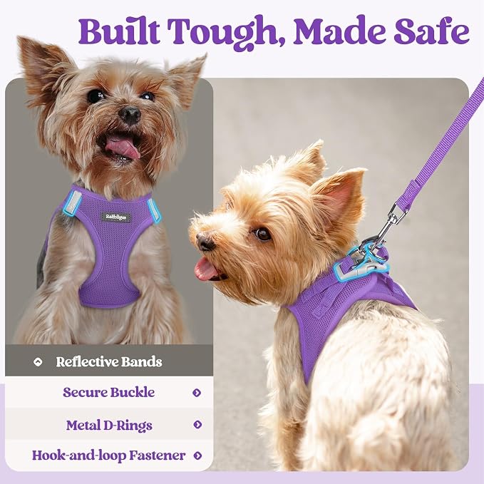 rabbitgoo Dog Harness Small Sized and Leash Set, Step-in Puppy Pet Vest | Light, Soft, Breathable Air Mesh, Easy on and Remove with Hook & Loop, Secure Reflective for Walking, Purple XXXS