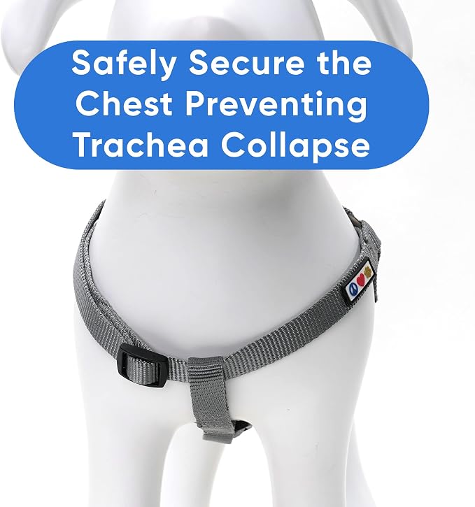 Pawtitas Solid Step-in Dog Harness – Adjustable No-Pull Vest for Puppies to Seniors, Safe & Comfortable XS Grey
